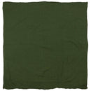 Green fabric square with a plain background