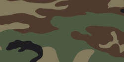 Woodland Camouflage