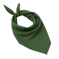 Bandanas en surplus