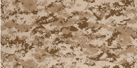 Digital Desert