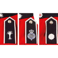 Auténtica chaqueta del ejército británico, uniforme, túnica, vestido rojo, guardias escarlata, caballería