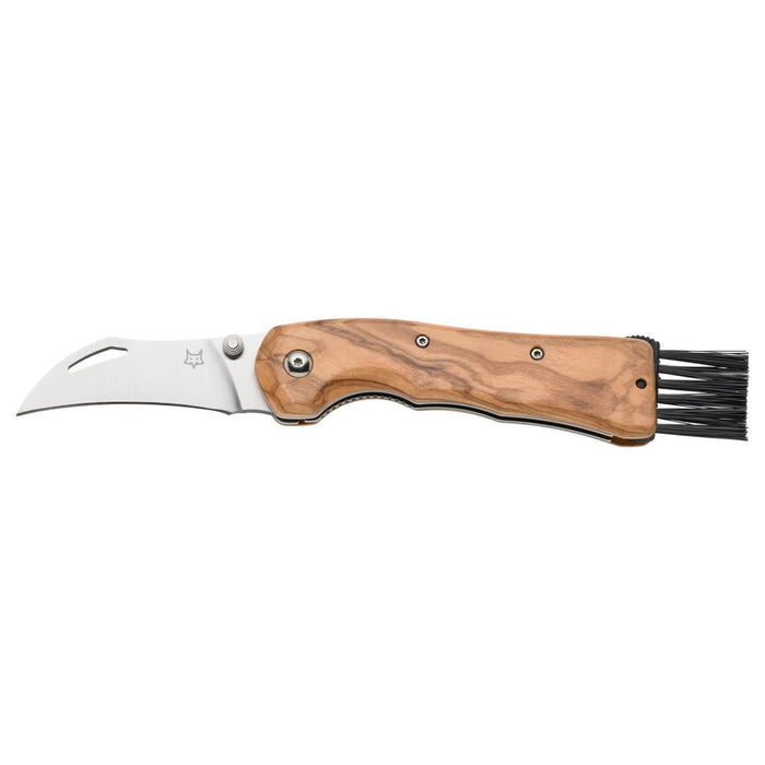 Fox Knives FOX SPORA FX-409 OL Folding Mushroom Knife Stainless Steel 12C27 - GoMilitar