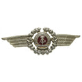 Insigne de cocarde de chapeau de casquette militaire de l'armée de la NVA DDR d'Allemagne de l'Est