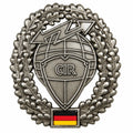 Oryginalna odznaka na beret armii niemieckiej CIR Insignia Nadwyżka wojskowa Metalowa przypinka