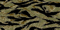 Tiger Stripe
