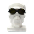 Seconda guerra mondiale di montagna Swiss Army Mountain Goggles Protection Basella W Box Wox W Box